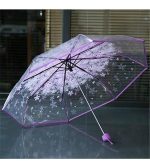 Transparent Umbrella - Image 4