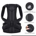 Royal Back Support - Image 4