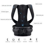 Royal Back Support - Image 3