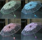 Transparent Umbrella - Image 2