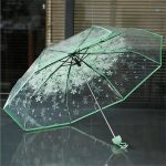 Transparent Umbrella - Image 3
